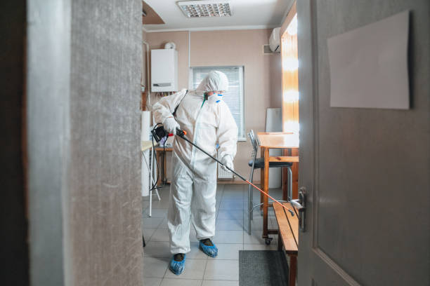 Professional Mold Removal in Kaunakakai, HI