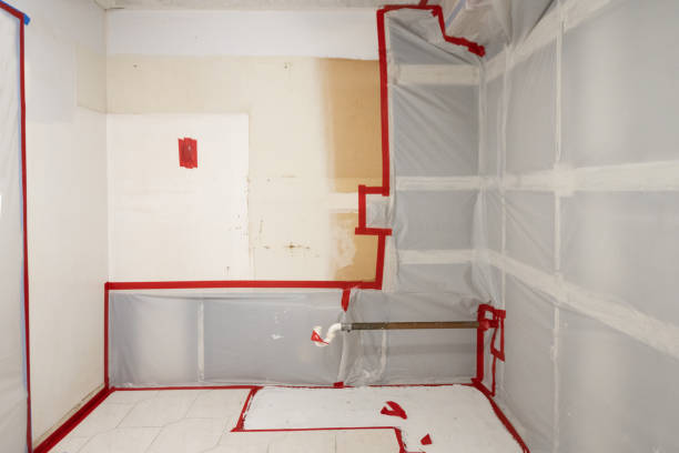 Mold Remediation for Rental Properties in Kaunakakai, HI